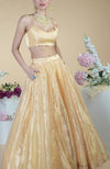 Gold Tissue Circular Flare Lehenga Skirt